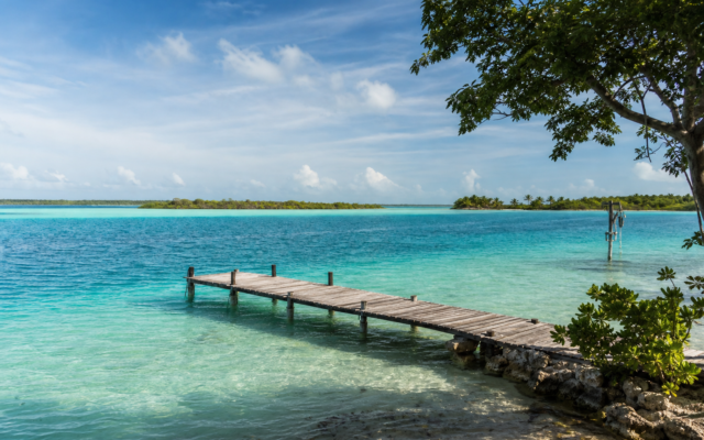 Laguna de Bacalar de tonos turquesa con vegetación caribeña